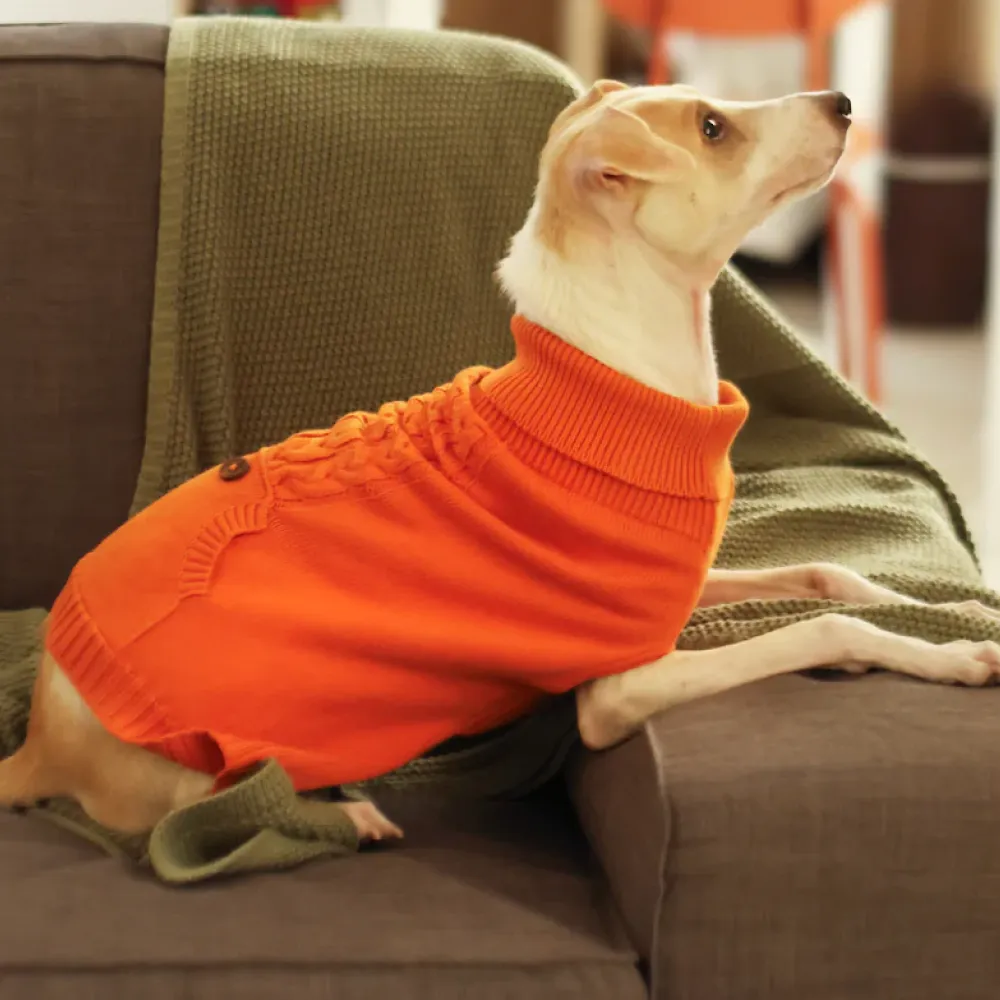 Pet Set Go Elsa's Sweater for Dogs (Orange)