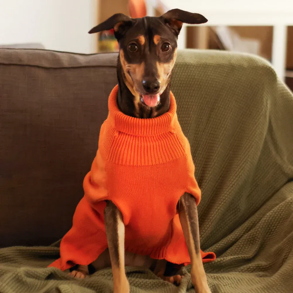 Pet Set Go Elsa's Sweater for Dogs (Orange)