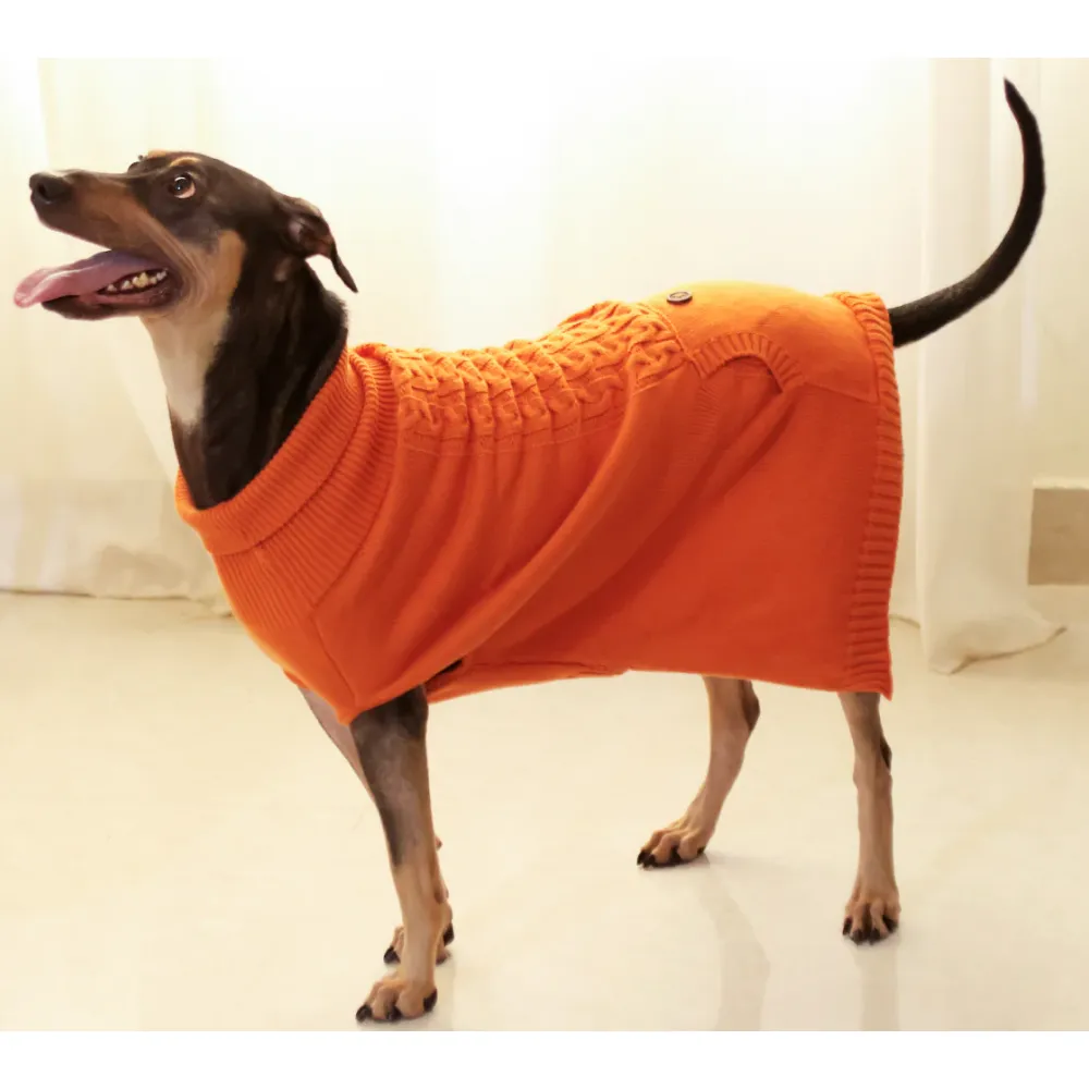 Pet Set Go Elsa's Sweater for Dogs (Orange)