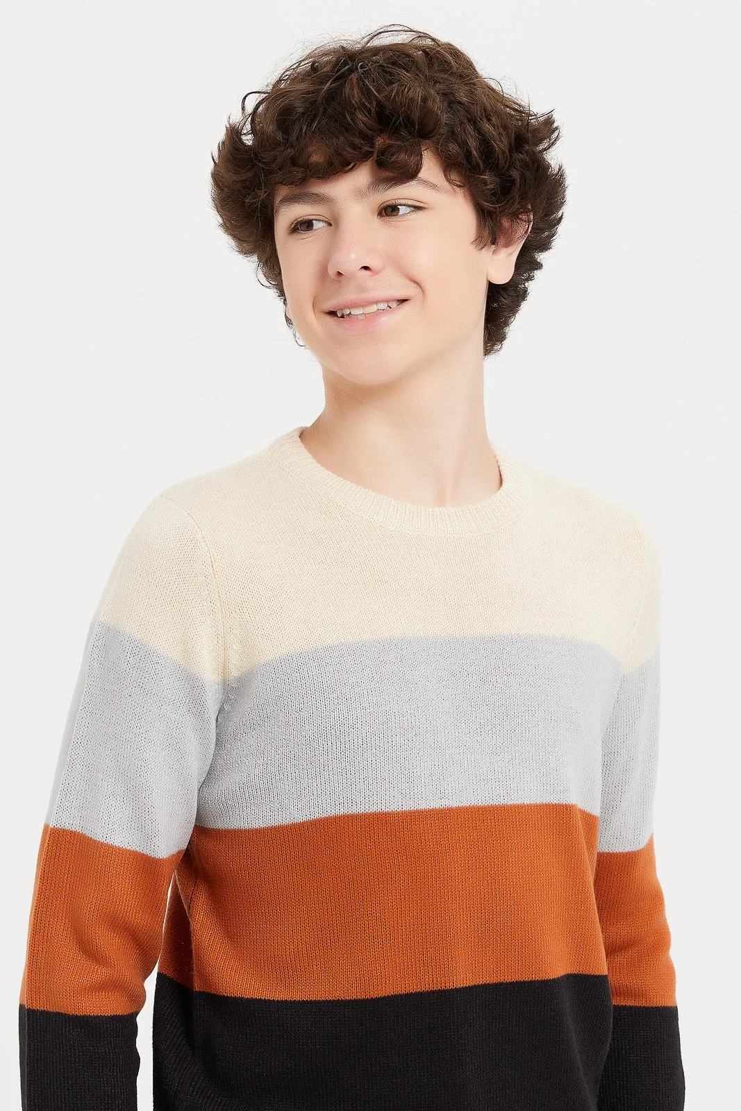 Senior Boys Multicolour Jacquard Pullover