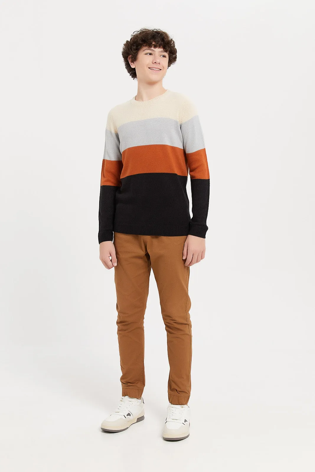 Senior Boys Multicolour Jacquard Pullover